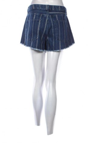 Damen Shorts Denim Co., Größe L, Farbe Mehrfarbig, Preis 9,74 €