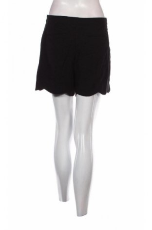 Damen Shorts Oasis, Größe M, Farbe Schwarz, Preis € 4,99