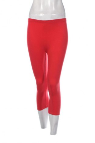 Damskie legginsy Terranova, Rozmiar S, Kolor Czerwony, Cena 62,99 zł