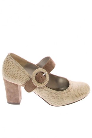 Încălțăminte de damă Rylko, Mărime 36, Culoare Multicolor, Preț 227,49 Lei