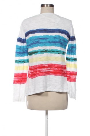 Dámsky pulóver Blue Motion, Veľkosť M, Farba Viacfarebná, Cena  16,95 €