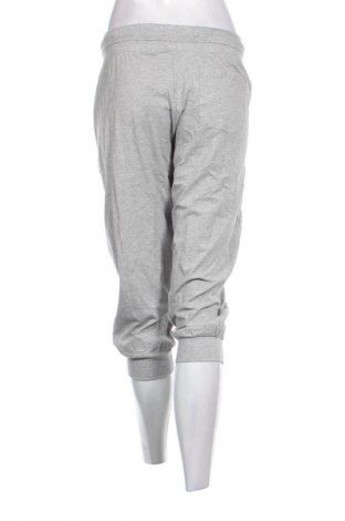 Damen Sporthose Esmara, Größe XL, Farbe Grau, Preis 24,00 €