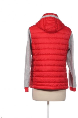 Damenjacke Up 2 Fashion, Größe M, Farbe Mehrfarbig, Preis 33,99 €