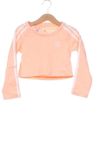 Dziecięca bluzka Adidas Originals, Rozmiar 3-4y/ 104-110 cm, Kolor Pomarańczowy, Cena 58,99 zł