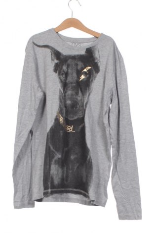 Kinder Shirt Oviesse, Größe 14-15y/ 168-170 cm, Farbe Grau, Preis 7,99 €