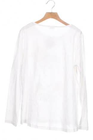 Παιδική μπλούζα Zara Kids, Μέγεθος 13-14y/ 164-168 εκ., Χρώμα Λευκό, Τιμή 7,22 €