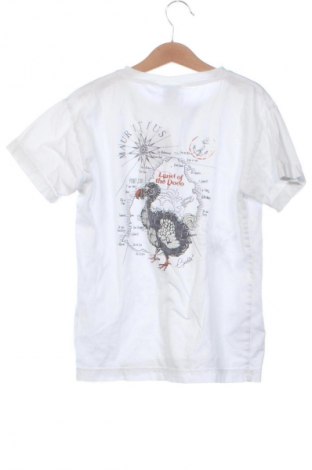 Tricou pentru copii Exotica, Mărime 13-14y/ 164-168 cm, Culoare Alb, Preț 30,61 Lei
