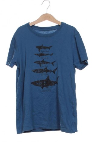 Tricou pentru copii Pepperts!, Mărime 10-11y/ 146-152 cm, Culoare Albastru, Preț 30,61 Lei