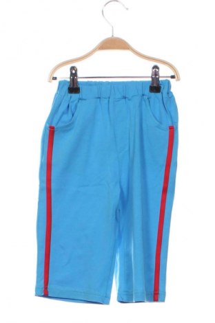 Pantaloni scurți pentru copii Unbranded, Mărime 2-3y/ 98-104 cm, Culoare Albastru, Preț 35,71 Lei