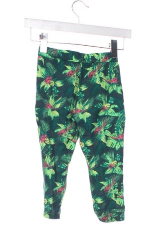 Kinderhose Kiki & Koko, Größe 12-18m/ 80-86 cm, Farbe Mehrfarbig, Preis 10,74 €