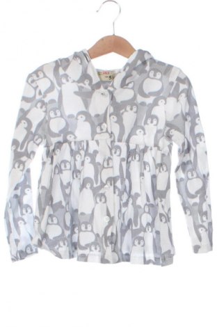 Kinder Sweatshirts Girls, Größe 5-6y/ 116-122 cm, Farbe Mehrfarbig, Preis € 11,32