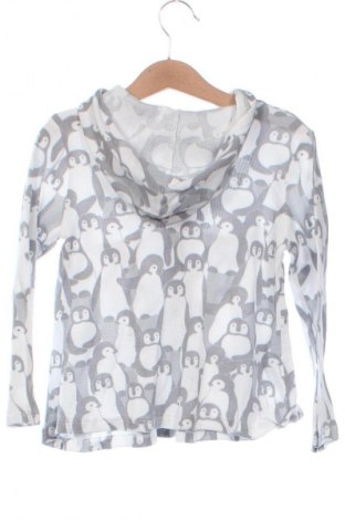 Kinder Sweatshirts Girls, Größe 5-6y/ 116-122 cm, Farbe Mehrfarbig, Preis € 11,32