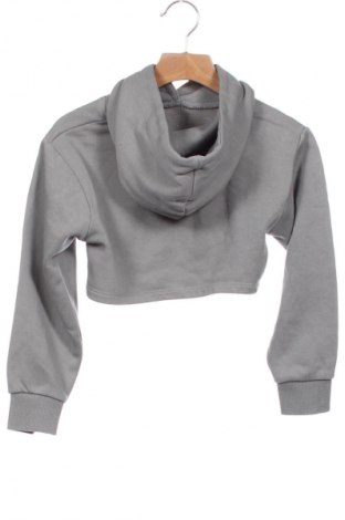 Детски суичър Zara, Размер 5-6y/ 116-122 см, Цвят Сив, Цена 8,99 лв.