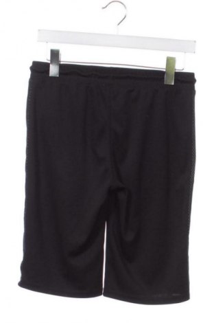 Dziecięce spodnie sportowe Here+There, Rozmiar 10-11y/ 146-152 cm, Kolor Czarny, Cena 81,99 zł