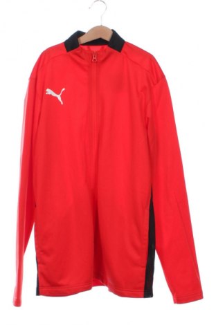 Kinder Sportoberteil PUMA, Größe 15-18y/ 170-176 cm, Farbe Rot, Preis 21,99 €