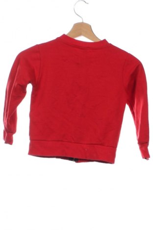 Dziecięca sportowa bluza Unbranded, Rozmiar 4-5y/ 110-116 cm, Kolor Czerwony, Cena 95,99 zł