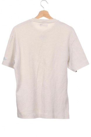 Męski T-shirt Bershka, Rozmiar XS, Kolor Beżowy, Cena 43,68 zł