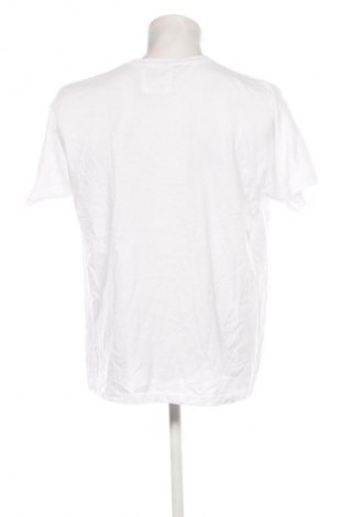 Herren T-Shirt Fruit Of The Loom, Größe XL, Farbe Mehrfarbig, Preis € 13,99