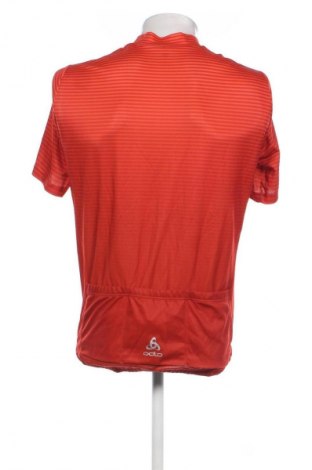 Herren T-Shirt Odlo, Größe L, Farbe Mehrfarbig, Preis € 13,99