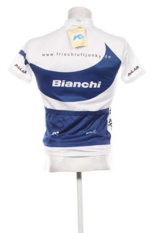 Herren T-Shirt Santini, Größe M, Farbe Mehrfarbig, Preis € 23,99