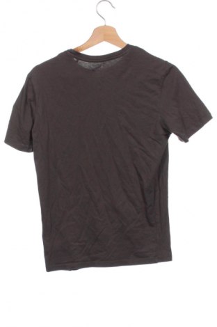 Męski T-shirt Sinsay, Rozmiar XS, Kolor Zielony, Cena 43,68 zł