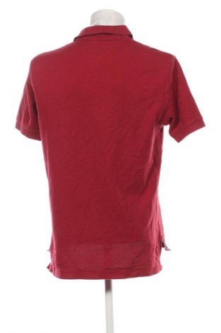 Herren T-Shirt Tommy Hilfiger, Größe M, Farbe Rot, Preis € 47,99