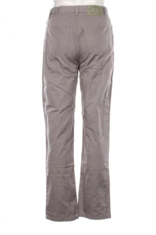 Ανδρικό τζίν Unbranded, Μέγεθος S, Χρώμα Γκρί, Τιμή 24,99 €