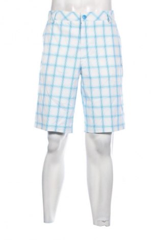 Herren Shorts PUMA, Größe L, Farbe Mehrfarbig, Preis 39,00 €