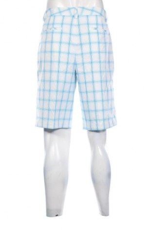 Herren Shorts PUMA, Größe L, Farbe Mehrfarbig, Preis 39,00 €