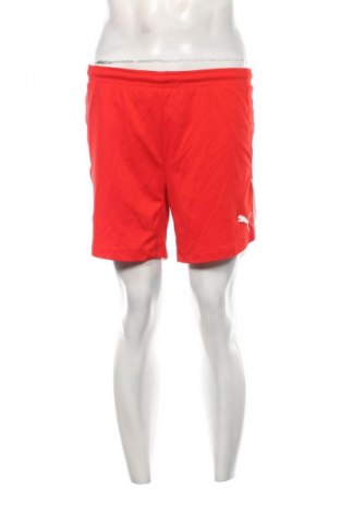 Pánské kraťasy PUMA, Velikost S, Barva Červená, Cena  429,00 Kč