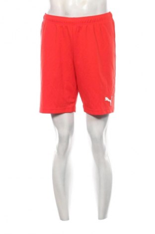 Herren Shorts PUMA, Größe S, Farbe Rot, Preis € 23,99