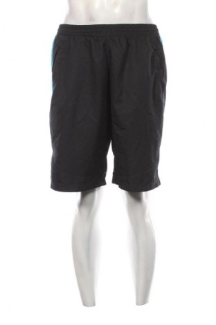 Herren Shorts Sport Tech, Größe XL, Farbe Schwarz, Preis € 13,99