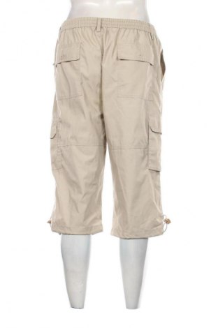 Herrenhose Unbranded, Größe L, Farbe Beige, Preis € 27,99