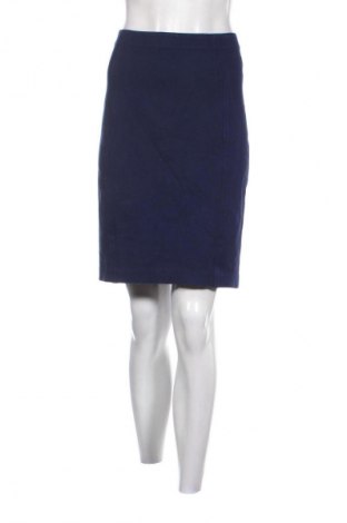 Sukně Ann Taylor, Velikost L, Barva Modrá, Cena  696,00 Kč