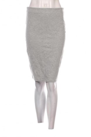 Φούστα Carin Wester, Μέγεθος S, Χρώμα Γκρί, Τιμή 26,99 €