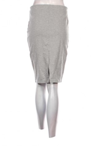 Φούστα Carin Wester, Μέγεθος S, Χρώμα Γκρί, Τιμή 26,99 €