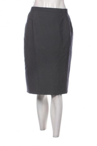 Φούστα Unbranded, Μέγεθος L, Χρώμα Γκρί, Τιμή 14,99 €