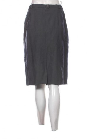Φούστα Unbranded, Μέγεθος L, Χρώμα Γκρί, Τιμή 14,99 €