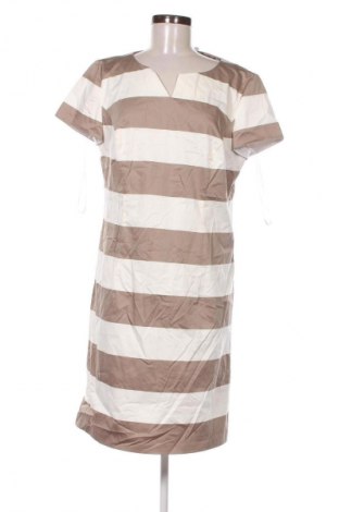 Kleid Betty Barclay, Größe XL, Farbe Mehrfarbig, Preis € 57,99