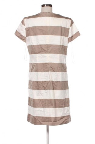 Kleid Betty Barclay, Größe XL, Farbe Mehrfarbig, Preis € 57,99