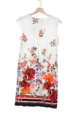 Kleid Billie & Blossom, Größe XS, Farbe Mehrfarbig, Preis € 24,46