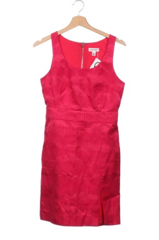 Φόρεμα Calvin Klein, Μέγεθος XS, Χρώμα Ρόζ , Τιμή 62,92 €