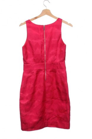 Φόρεμα Calvin Klein, Μέγεθος XS, Χρώμα Ρόζ , Τιμή 62,92 €