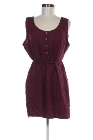 Sukienka Cecil, Rozmiar XL, Kolor Czerwony, Cena 157,99 zł