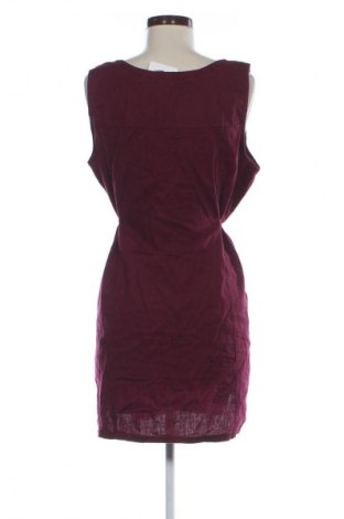 Sukienka Cecil, Rozmiar XL, Kolor Czerwony, Cena 157,99 zł