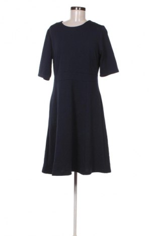 Sukienka Cotton Traders, Rozmiar XL, Kolor Niebieski, Cena 157,99 zł