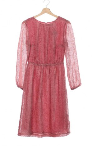 Kleid Donna, Größe XS, Farbe Rosa, Preis 33,99 €