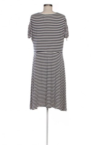 Kleid Etam, Größe 3XL, Farbe Mehrfarbig, Preis € 23,99