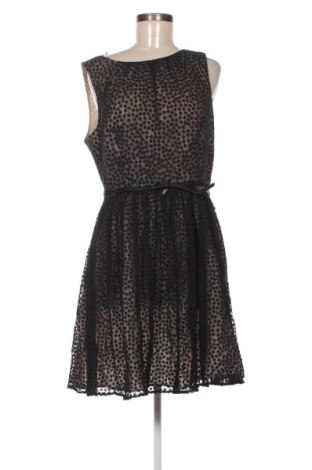 Sukienka Jessica Howard, Rozmiar XL, Kolor Czarny, Cena 157,99 zł