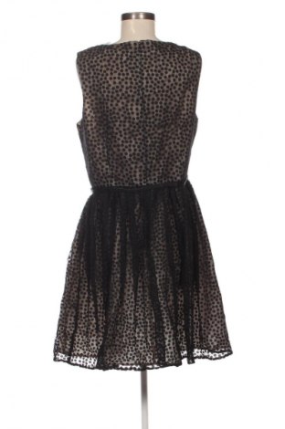 Sukienka Jessica Howard, Rozmiar XL, Kolor Czarny, Cena 157,99 zł